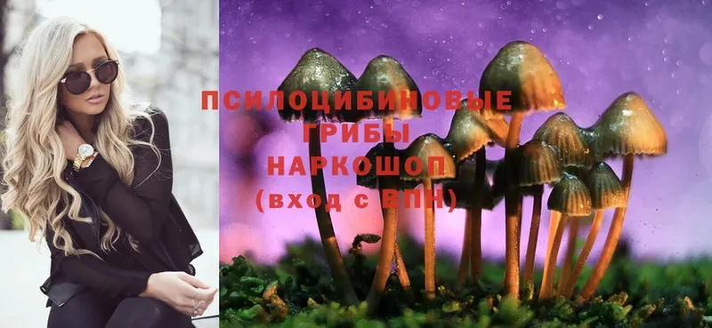 Галлюциногенные грибы Cubensis  Алушта 